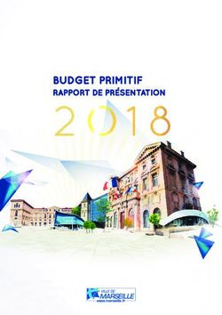 BUDGET PRIMITIF RAPPORT DE PRÉSENTATION - Ville de Marseille