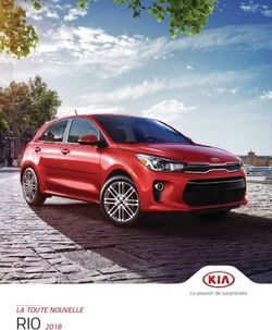 RIO 2018 LA TOUTE NOUVELLE - Promenade Kia
