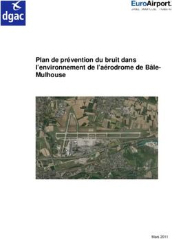 Plan de pr&eacute;vention du bruit dans l'environnement de l'a&eacute;rodrome de B&acirc;le-Mulhouse - Mars 2011