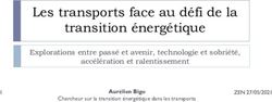 Les transports face au d&eacute;fi de la transition &eacute;nerg&eacute;tique - Explorations entre pass&eacute; et avenir, technologie et sobri&eacute;t&eacute;, acc&eacute;l&eacute;ration et ralentissement