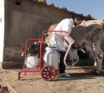 Modélisation des impacts environnementaux de la chaîne de valeur du lait en Tunisie - rapport de la phase de démarrage