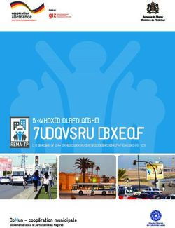 TRANSPORT PUBLIC RÉSEAU MAROCAIN DE - ÉTAT DES LIEUX SYNTHÉTIQUE DU TRANSPORT PUBLIC DANS LES VILLES MEMBRES DU REMA-TP - COMUN