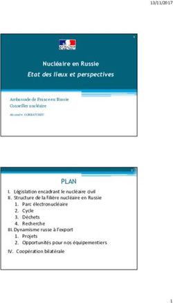 PLAN - Nucl&eacute;aire en Russie Etat des lieux et perspectives - Sfen