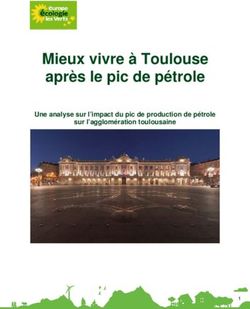 Mieux vivre à Toulouse après le pic de pétrole - Une analyse sur l'impact du pic de production de pétrole sur l'agglomération toulousaine