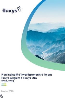 Plan indicatif d'investissements à 10 ans Fluxys Belgium & Fluxys LNG 2020-2029 - Février 2020