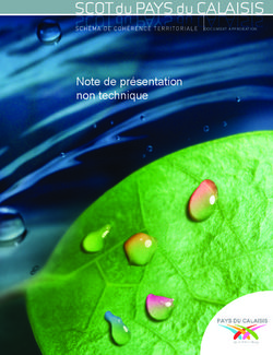 Note de présentation non technique