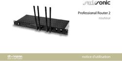 Professional Router 2 routeur notice d'utilisation