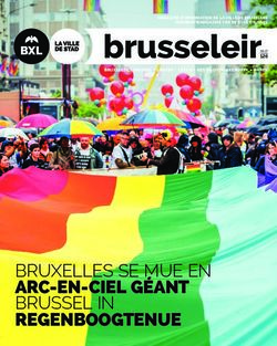 BRUXELLES SE MUE EN ARC-EN-CIEL GÉANT BRUSSEL IN REGENBOOGTENUE - le de