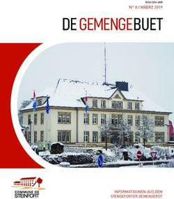 DE GEMENGE BUET N 8 / MÄERZ 2019 - INFORMATIOUNEN AUS DEM STENGEFORTER GEMENGEROT - Administration Communale de Steinfort