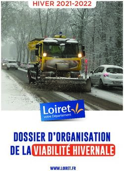 DOSSIER D'ORGANISATION DE LA VIABILIT&Eacute; HIVERNALE - HIVER 2021-2022 - www.loiret.fr
