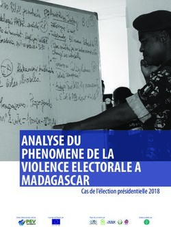 ANALYSE DU PHENOMENE DE LA VIOLENCE ELECTORALE A MADAGASCAR - Cas de l'élection présidentielle 2018