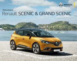 Renault SCENIC & GRAND SCENIC - Nouveaux