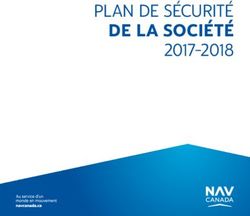DE LA SOCIÉTÉ PLAN DE SÉCURITÉ - nav canada