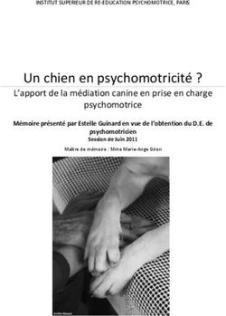 Un chien en psychomotricité ? - L'apport de la médiation canine en prise en charge psychomotrice