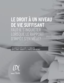 LE DROIT &Agrave; UN NIVEAU DE VIE SUFFISANT - FAUT-IL S'INQUI&Eacute;TER LORSQUE LE RAPPORT D'IMP&Ocirc;T S'EN M&Ecirc;LE?