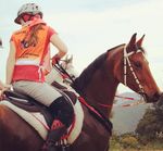 Course d'endurance Internationale - Coti Chiavari 24 au 26 septembre 2021 - CRE Corse