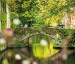 Meeting & Incentive Guide - BRUGES 2019 - MEETING IN BRUGGE