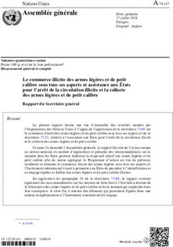 Le commerce illicite des armes l&eacute;g&egrave;res et de petit calibre sous tous ses aspects et assistance aux &Eacute;tats pour l'arr&ecirc;t de la circulation illicite ...