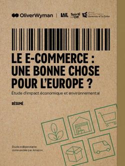 LE E-COMMERCE : UNE BONNE CHOSE POUR L'EUROPE ? - R&Eacute;SUM&Eacute; &Eacute;tude d'impact &eacute;conomique et environnemental - Oliver Wyman