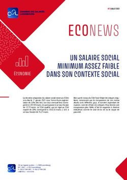 ECONEWS UN SALAIRE SOCIAL MINIMUM ASSEZ FAIBLE DANS SON CONTEXTE SOCIAL
