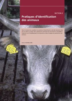 Pratiques d'identification des animaux