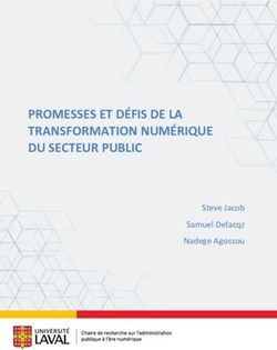 PROMESSES ET DÉFIS DE LA TRANSFORMATION NUMÉRIQUE DU SECTEUR PUBLIC - Steve Jacob Samuel Defacqz Nadege Agossou