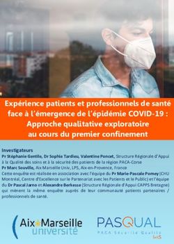 Expérience patients et professionnels de santé face à l'émergence de l'épidémie COVID-19 : Approche qualitative exploratoire au cours du premier ...