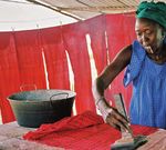 PLAN DEPARTEMENTAL DE DEVELOPPEMENT DE PODOR 2017 2021 - CONSEIL DEPARTEMENTAL DE PODOR