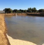 PLAN DEPARTEMENTAL DE DEVELOPPEMENT DE PODOR 2017 2021 - CONSEIL DEPARTEMENTAL DE PODOR