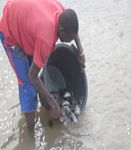 PLAN DEPARTEMENTAL DE DEVELOPPEMENT DE PODOR 2017 2021 - CONSEIL DEPARTEMENTAL DE PODOR