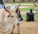 PLAN DEPARTEMENTAL DE DEVELOPPEMENT DE PODOR 2017 2021 - CONSEIL DEPARTEMENTAL DE PODOR