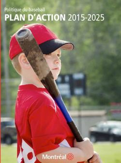 Plan d'action 2015-2025 - Politique du baseball - Ville de Montréal