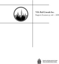 VIA Rail Canada Inc. Rapport d'examen spécial 2008