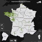 BRETAGNE : BOL D'AIR &Agrave; L'AMMONIAC - Splann