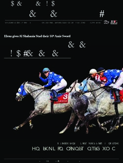 PUREBRED ARABIAN THE FRENCH - JOUR DE GALOP