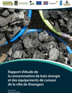 Rapport d'&eacute;tude de la consommation de bois &eacute;nergie et des &eacute;quipements de cuisson de la ville de Kisangani - G&eacute;rard Imani Elisha Moore-Delate
