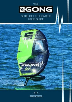 GUIDE DE L'UTILISATEUR USER GUIDE - WING - GONG GALAXY