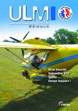 ULM - Bilan Sécurité Subvention 8.33 Sports Europe toujours ! - FFPlum