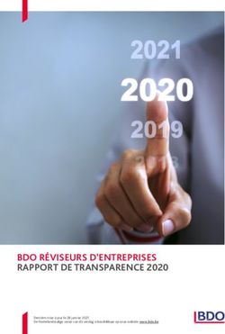 BDO R&Eacute;VISEURS D'ENTREPRISES RAPPORT DE TRANSPARENCE 2020