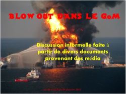 BLOW OUT DANS LE GOM DISCUSSION INFORMELLE FAITE &Agrave; PARTIR DE DIVERS DOCUMENTS PROVENANT DES M&Eacute;DIA