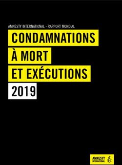 CONDAMNATIONS À MORT ET EXÉCUTIONS 2019 - AMNESTY INTERNATIONAL - RAPPORT MONDIAL - Prismic