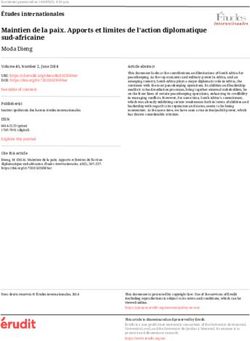 Maintien de la paix. Apports et limites de l'action diplomatique sud-africaine