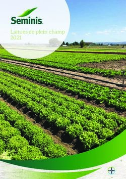 Laitues de plein champ 2021 - Amazon AWS