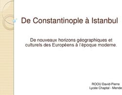 De Constantinople &agrave; Istanbul - De nouveaux horizons g&eacute;ographiques et culturels des Europ&eacute;ens &agrave; l'&eacute;poque moderne.