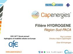 Filière HYDROGENE Région Sud-PACA - Hydrogène et mobilité urbaine en Europe - Centre ...