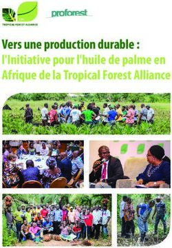 Vers une production durable : l'Initiative pour l'huile de palme en Afrique de la Tropical Forest Alliance - Proforest