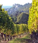 Vin et tourisme 2021 www.chinon.com