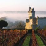 Vin et tourisme 2021 www.chinon.com