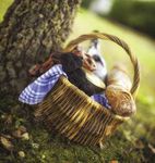 Vin et tourisme 2021 www.chinon.com