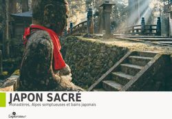 JAPON SACR&Eacute; Monast&egrave;res, Alpes somptueuses et bains japonais - Explorateur voyages